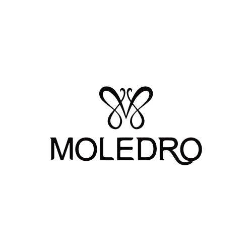 Logo 2